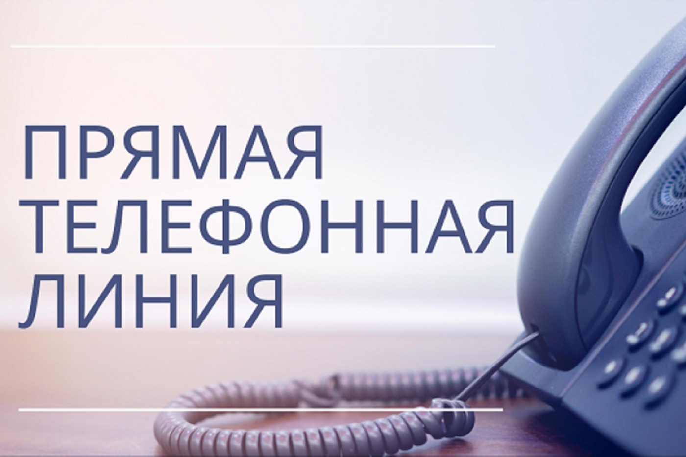 Прямая линия с главой района.
