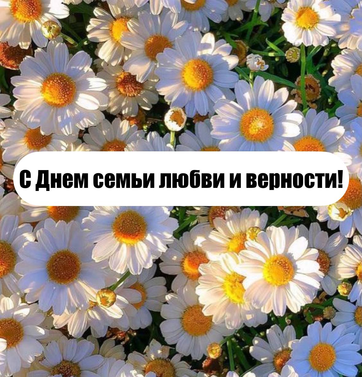С Днем семьи, любви и верности от главы района.